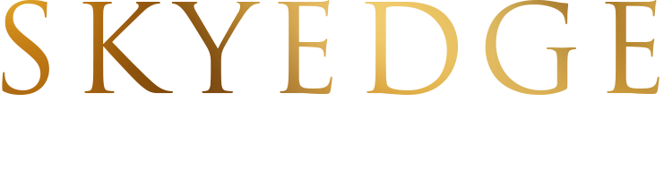 skyedgeworld.in